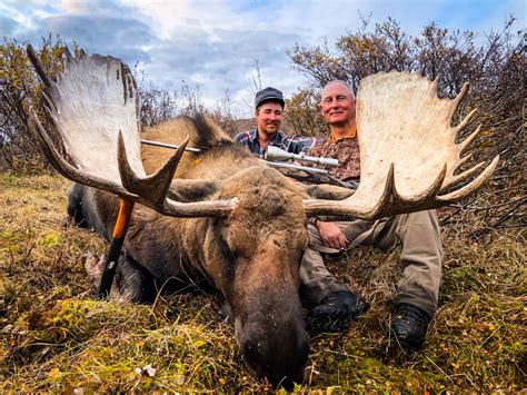 The Best Time To Hunt Moose Early Season Or The Rut
