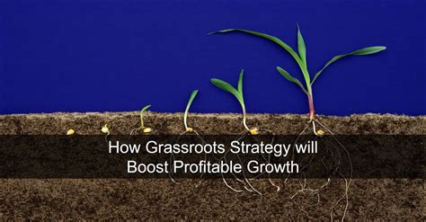 How Grassroots Strategy Will Boost Profitable Growth
