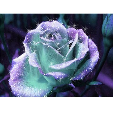 5d Diamond Painting Blue Rose Flowers Full Squareround Drill Etsy Uk