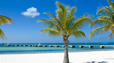 Maybe you would like to learn more about one of these? Key West Wallpaper - WallpaperSafari