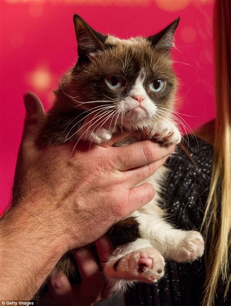 Grumpy Cat Is Immortalized At Madame Tussauds With Her Own Animatronic