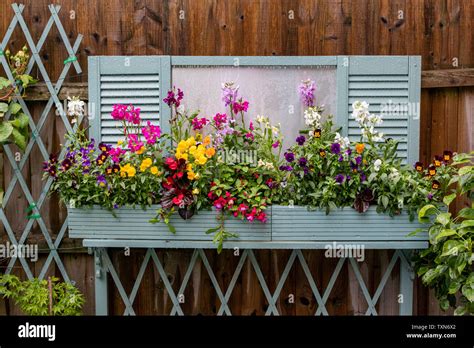 Window Boxes In Bloom At A Secluded Corner Of A Urban Cottage Garden