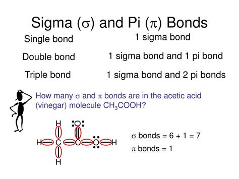 How To Count Sigma And Pi Bonds In Benzene Cloudshareinfo