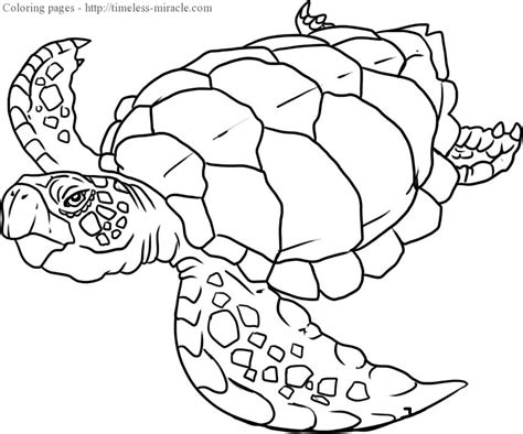 Coloring Pages Of Sea Animals Timeless