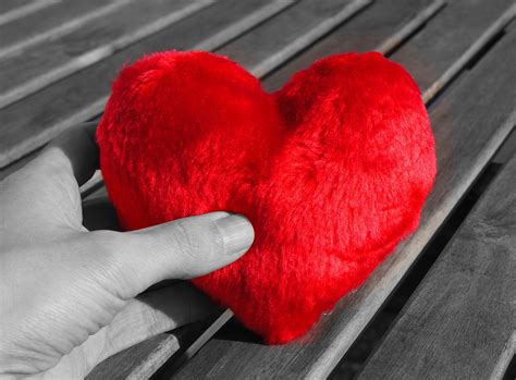 Valentinstag Liebe - lizenzfreie Fotos / Bilder kostenlos ... Zum totlachen lebensmotto status weisheiten für jung & alt ohne lange suche.