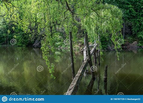 Old Ruined Wooden Bridge Over The River In The Forest In Cloudy Weather