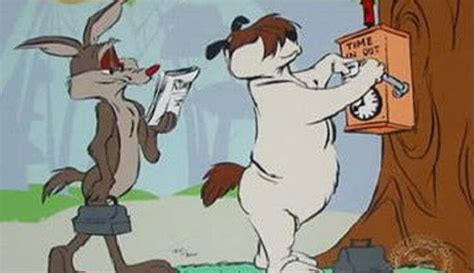 Cane Willy il coyote: nome, razza, caratteristiche e curiosità
