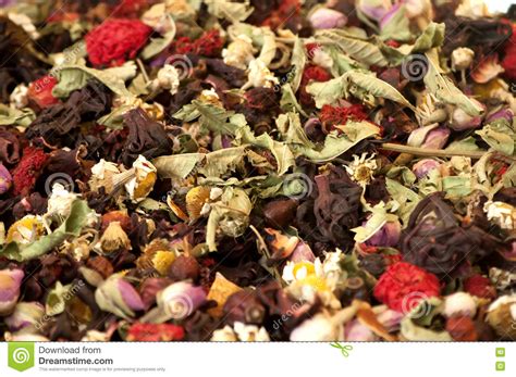 Dried Herbs And Flowers Texture Stock Photo Image Of