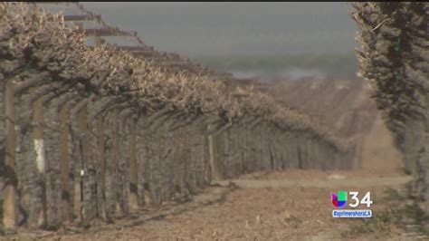 Un Año Más De Sequía Para California Noticias Univision Fenómenos
