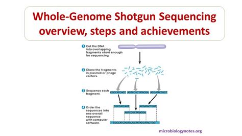 Whole Genome Shotgun Sequencing Overview Steps And Achivements