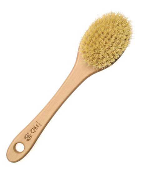 Reddit reviews on the body shop cactus long handle body brush. DRY BRUSHING The Body Shop Cactus Brush - Fashion Quarterly