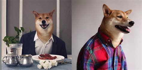 Meet Menswear Dog The Worlds Most Stylish Shiba Inu Photos