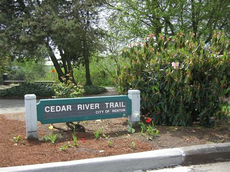 Cedar River Trail Mountains To Sound Greenway Trust