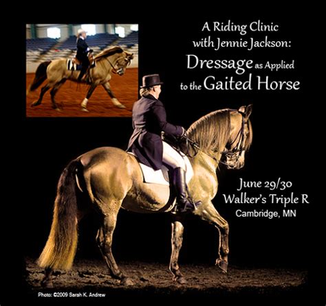 It's just that there's something about the dressage, being put through. Dressage Horse Quotes. QuotesGram