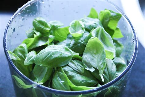 Zelf verse groene pesto maken