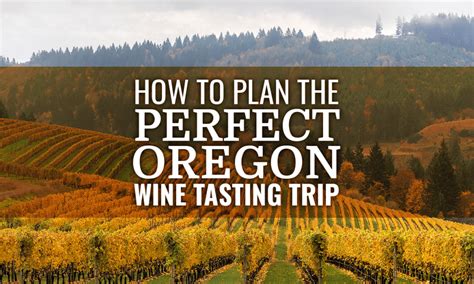 How To Plan The Perfect Oregon Wine Tasting Trip