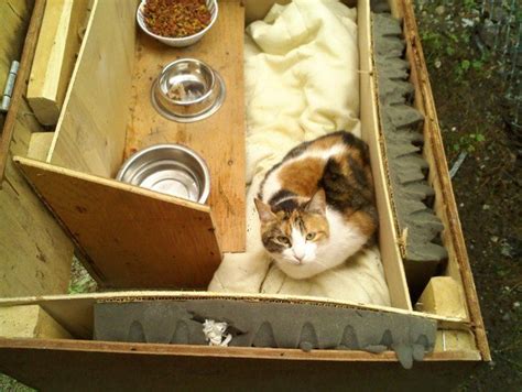 Learn the steps in this video. How to care for outdoor cats and barn cats (set-ups and ...