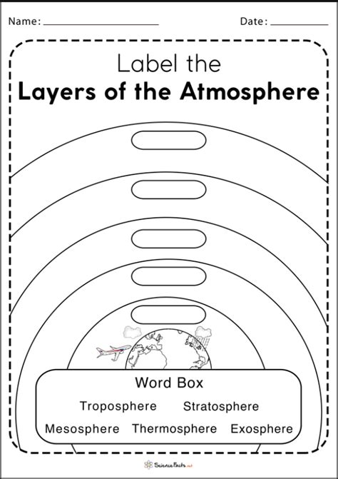 Bio Quiz Diagram Quizlet