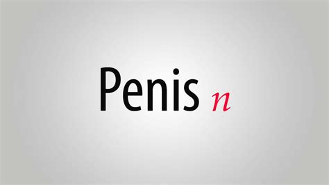What Is The Meaning Of Penis Youtube