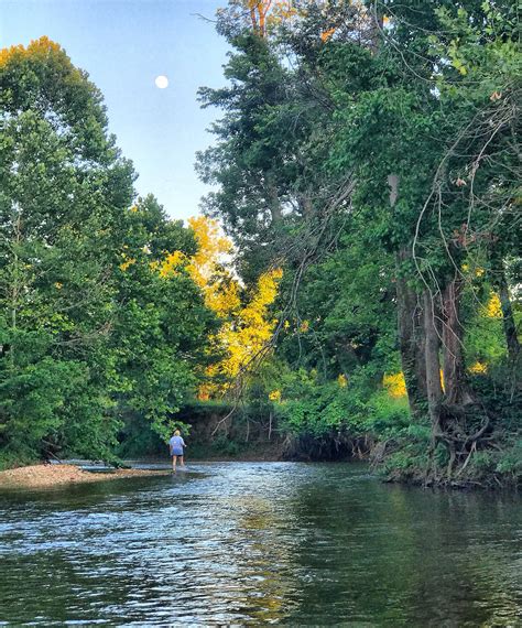 Creek fishing landscape in Cave Springs, Arkansas. [O] : r/Fishing