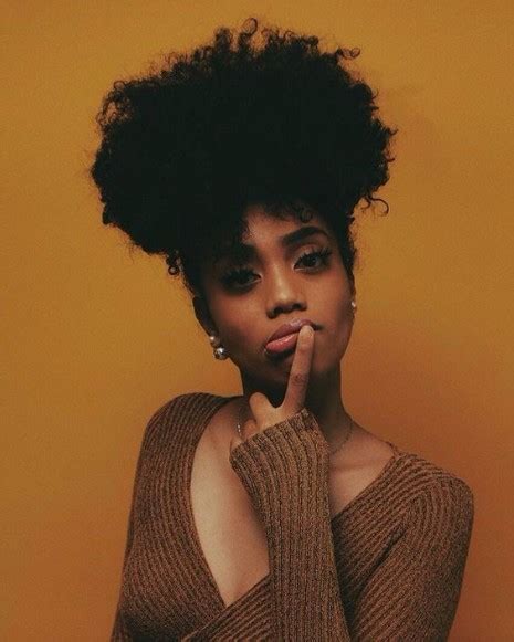 31 Of The Best Afro Hairstyles From Pinterest Hairstyle