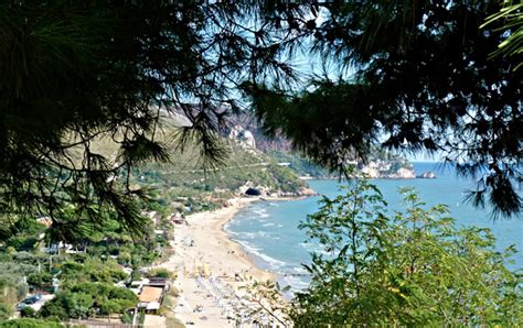 Un Gruppo Di Troia Insieme Sulla Spiaggia Telegraph