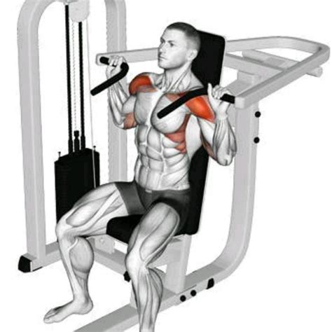 Shoulder Press Machine Wide By Ran P Exercise How To Skimble