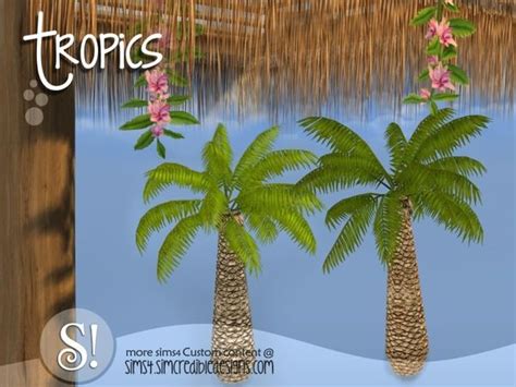 The tree has grown to a height that the leverage along with wind regularity is compromising of course there are many other palms that are common in florida but i feel like these species are the most common types found throughout the state. SIMcredible!'s Tropics outdoor - palm tree (With images ...