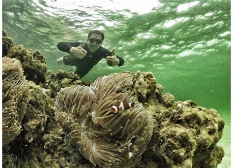 Pulau salah namo atau diartikan salah nama ini memiliki air laut jernih berwarna hijau kebiruan. 10 Gambar Pulau Petong Batam, Harga Snorkeling Cara Ke ...