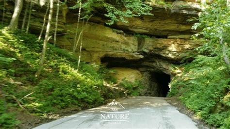 Scenic Drives At Red River Gorge Daniel Boone National Forest The