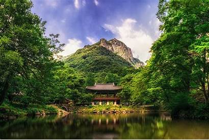Korea South Nature Landscape Forest Mountain Trees