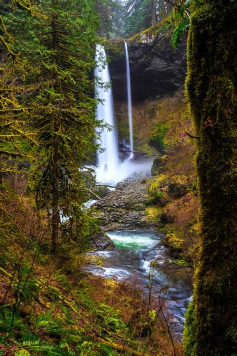 North Falls View At Silver Falls State Park Stock Image Image Of Plant Beauty 155090061