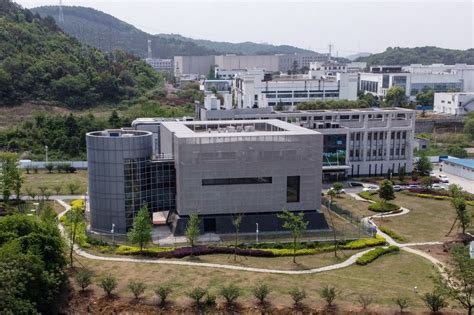 Murky Public Evidence On Wuhan Lab Leak Wsj