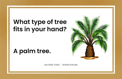 25 Funny Nature Puns For Outdoor Lovers Punme