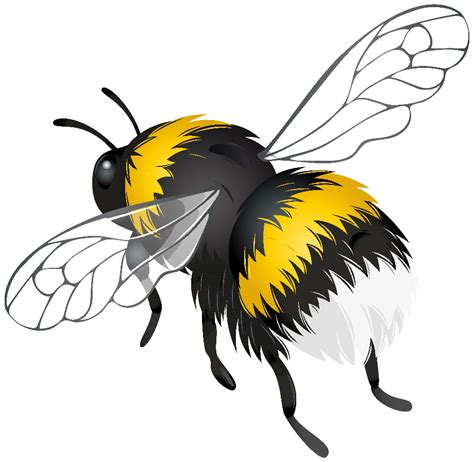 Download High Quality Insect Clipart Bee Transparent Png Images Art
