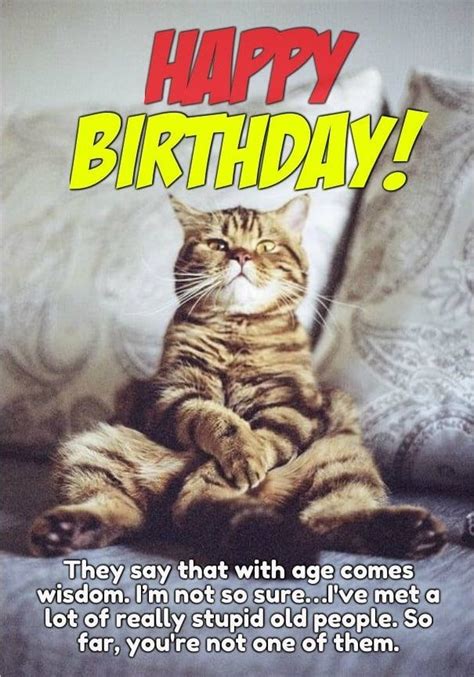 50 Happy Birthday Funny Pictures For Women Funny Birthday Message
