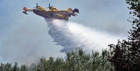 Σε πλήρη εξέλιξη βρίσκεται η φωτιά που ξέσπασε τα ξημερώματα (στις 05:40) σε πευκοδάσος στη σιθωνία χαλκιδικής. Φωτιά στη Σιθωνία της Χαλκιδικής ...Επιχειρούν Καναντέρ ...