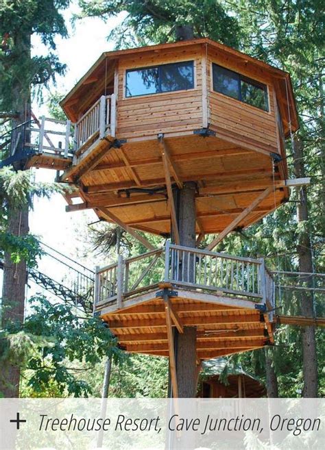 Dan hopen wij ons treehouse resort in de achterhoek te openen. Pin by Jessica Cruey on Travel | Tree house resort, Tree ...