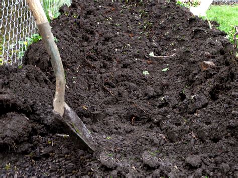 Traditional digging is the consequence of translating commercial agriculture to the garden. 10 Crucial tips to remove weeds from your garden effectively