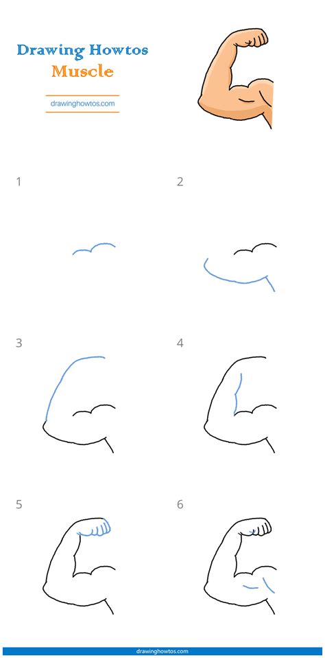 Drawing the arms and the handle of the katana's blade. How to Draw Muscles - Step by Step Easy Drawing Guides - Drawing Howtos