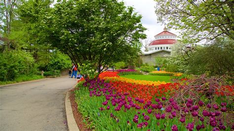Cincinnati Zoo And Botanical Garden In Cincinnati United States Of