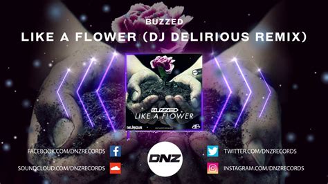 Dnz Buzzed Like A Flower Dj Delirious Remix Official Video Dnz