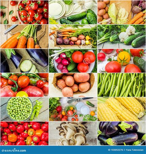 Collage Of Different Vegetables Vegetarian Food Stock Photo Image Of