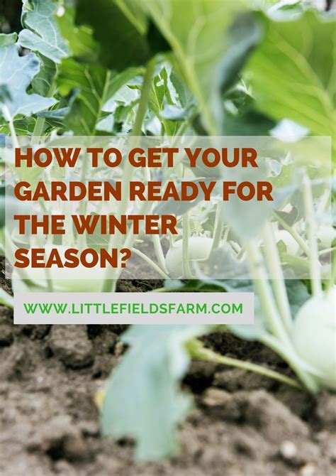 Pdf How To Get Your Garden Ready For The Winter Season Slideshare