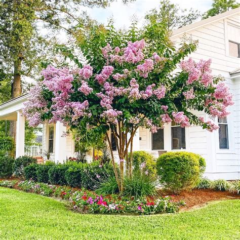Front Yard Makeovers Before And Afters Forbes Home