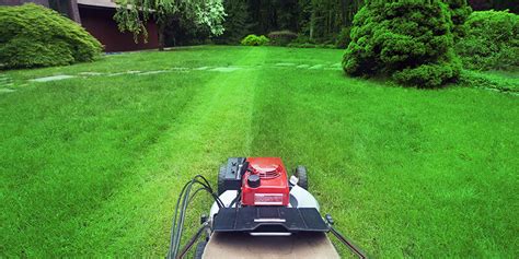 Beginning with spring irrigation startups, our team will monitor the coverage and effectiveness of your irrigation system regularly checking for system failures. Lawn Care & Maintenance in Kirkland WA | (253) 377-6148