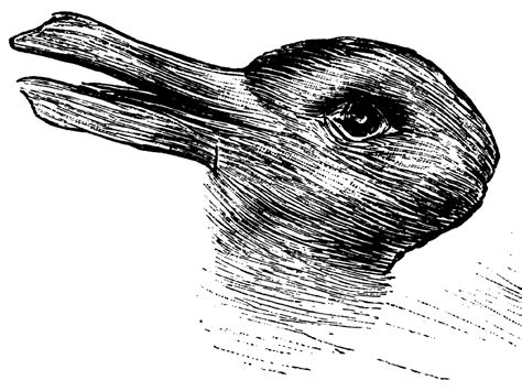 Duck Rabbit Illusion An Optical Illusion