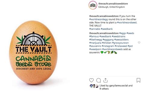 Media Tweets By 🌱 The Vault Seeds🌱 Thevaultseeds Twitter