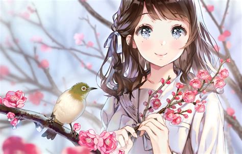 Wallpaper Look Anime Sakura Girl Bird White Eyed Images For