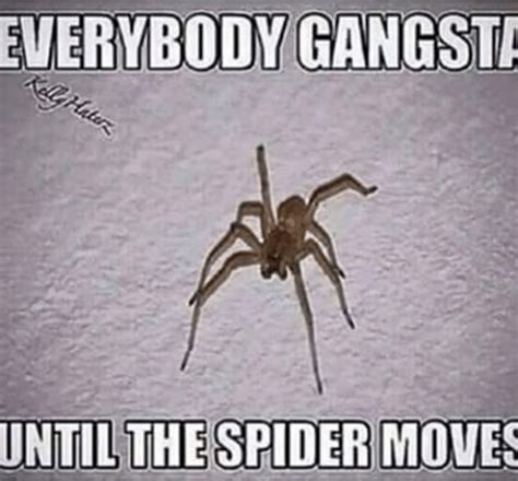 Everybody Gangsta Until The Spider Moves Gangsta Anime Memes Funny